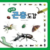 신기한 곤충 도감 양장본