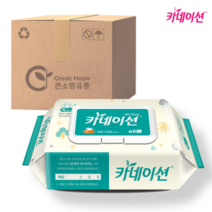 카네이션 캡형 플레인 물티슈 60매 20팩 박스, 60개