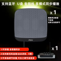 블루투스 무선스피커 벽걸이형 F8 F9 F1Pro, 표준, 옵션19