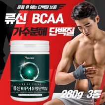 BCAA 유청단백질 농축유청 류신 가수분해 단백질 완두단백 WPH WPC 아미노산 로이신 아미노액티브 성분 웨이 프로틴 비교 먹는법 남자 여자 근육량 늘리기 가격 벌크업 50대
