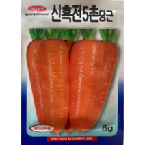 당근씨앗 신흑전5촌당근 6g/ 근피가 곱고 착색이 잘되며 비대성이 빠르고 뿌리밑이 잘 맺히는 품종/ 22년포장