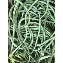 줄콩 (500G) 롱빈 껍질콩 그린빈스, 롱빈(500G)