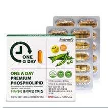 네추럴라이즈 원어데이 프리미엄 인지질 NON-GMO 대두레시틴, 1. 90정, 3박스