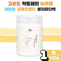 유산균 사균체 분리유 단백 락토페린 분말 파우더 베타 글루칸 엽산 비오틴 모로실 블러드 모로 모노 오렌지 레몬밤 자몽 그린커피빈 추출 농축 가루 성분 추천 20대 30대 여자