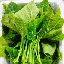 호박잎 1kg 2kg, 1개