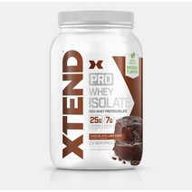 엑스텐드 프로 웨이 이솔레이트 프로틴 파우더 단백질보충제 초코 라바케이크 바닐라아이스크림 680g, 1개