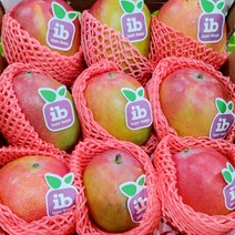 황금열매 남미 페루산 애플망고 4kg 7~13과 (선박), 애플망고4kg (선박) 7-9과