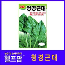 헬프팜 청경근대 10g 종자 씨앗 진흥종묘
