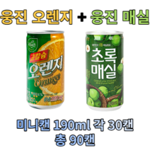 웅진 오렌지&매실 180ml X 각30개(총60개) 과채 과즙 음료 업소용 소캔 미니캔 음료도매 착즙, 오렌지 180ml 30캔 + 초록매실 180ml 30캔