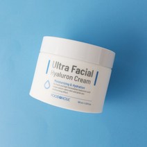 푸드어홀릭 울트라 훼이셜 히알루론 크림 100ml, 단품