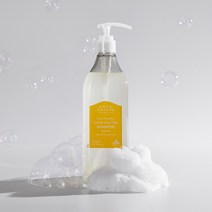 닥터올가 지성 두피 호호바 티트리 비건 천연 샴푸 500ml, 1개