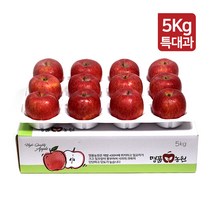 명품농원 당도선별 문경 사과 5kg 특대과 선물세트, 1박스, B. 가정용 특대과 5kg(11~13과)-흠과