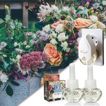 디퓨저 플러그 리필세트_가든파티/전기 디퓨저, 1개