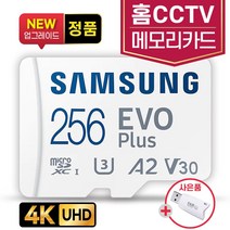 이지비즈 C6CN CCTV메모리 256GB SD카드