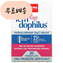 (아이허브) Jarrow 펨 도필러스 여성 프로바이오틱스 10억 30배지개 유산균 빠른직구, 1개, 30개