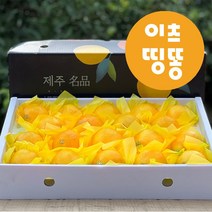산지직송 제주도 서귀포 고당도 황금향 하우스 감귤 노지 밀감 3kg 5kg 가정용 선물용, 프리미엄황금향, 4.5kg(대과)