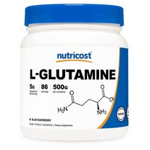 뉴트리코스트 L-글루타민 파우더 블루라즈베리 프룻펀치 500g, 1개