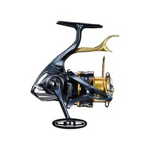 시마노(SHIMANO) 스피닝릴 21 BB-X 테크늄 각종, 01.2500DXGSR