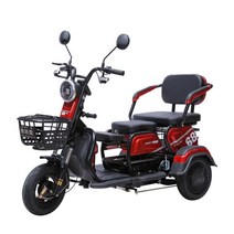 삼륜 오토바이 다인승 어르신 전동차 농촌 삼발이, 플래그십 800W 48V20a배터리 40km