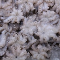 23년 햇쭈꾸미 서해안 쫄깃하고 통통한 주꾸미 1kg, 서해안 주꾸미 1kg, 1개