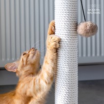 고양이 스크래쳐 리필 캣폴 캣휠 캣타워 diy 만들기 밧줄 동아줄 실타래, 18mm(990합)