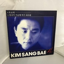 김상배 LP / 엘피 / 음반 / 레코드 / 레트로 / 919