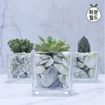 OZM390634옥자갈 (대포장) 정원자갈 주차장자갈 화분돌 어항돌, 옥자갈5호(대포장)