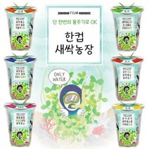 한컵새싹농장 씨앗키우기 6종 / 새싹기르기 모종키우기 씨앗 꽃 재배, 밀싹