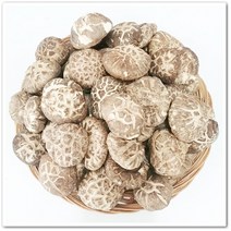 고성유통 표고버섯 마른표고버섯200g, 1팩, 200g