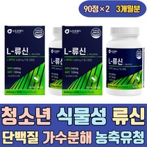 청소년 식물성 류신 뉴신 가수분해 농축유청 단백질 비타민B1 B2 B6 철분 엽산 산화아연 제품 정 파우더 음료 프리미엄 마시는 먹는 씹어먹는 많은음식 leucine 프로틴 헬스