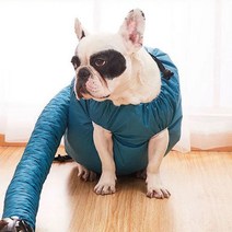 가정용 펫 드라이룸 강아지 드라이기 고양이 건조기 애완견 개털 말리기 애견 털건조기, RCMK 수트S