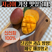 [달콤함의끝판왕] 과즙팡팡 페루 애플 망고 2kg 4kg, 프리미엄 애플망고 2kg(4과수내외)