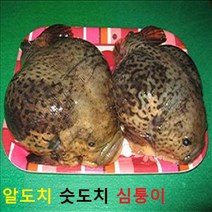 (쌍다리상회) 심퉁이 알도치 숫도치 급냉동 통마리, 급냉동 알도치 통마리 1마리 급냉동