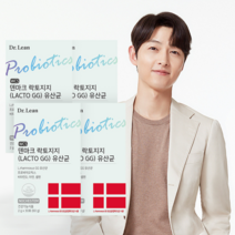 4박스 덴마크 LACTO GG 락토지지 100억 유산균 프로바이오틱스, 1.락토지지 유산균 4박스