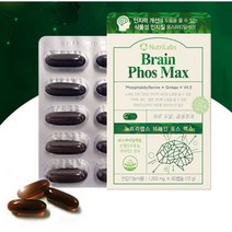 뉴트리랩스 브레인 포스맥스 포스파티딜세린 징코 1200mg x 60캡슐, 6박스