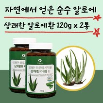 옻가네 위에좋은음식 알로에 겔 정 환 120g 2통