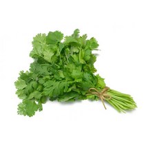 허브 처빌 생잎 100g (chervil 챠빌), 처빌 100g, 1개