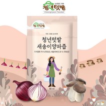 청년텃밭 전남 무안 자색양파 새송이양파즙 80ml x 50포, 50개