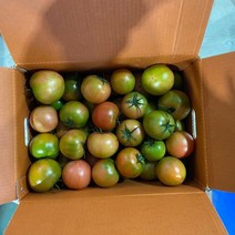 세븐푸드 터키산 토마토 플레인 하프컷 (냉동), 1kg, 1개