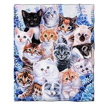Dawhud Direct Kitten Collage Super Soft Plush Fleece Throw Blanket by Jenny Newland, 1