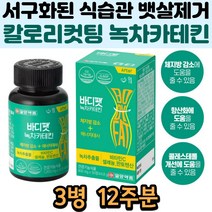체중감소 지방분해 콜레스테롤 개선 카테킨 판토텐산 체지방 속성 단기 다이어트 군살 뱃살 제거 지방 컷팅제 여성 남성 회사원 학생 상체 하체 비만 개선 도움 효능 추천 여름대비