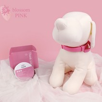 씽씽펫 드기제로 퍼스펫가드 강아지 진드기 방지 목걸이, 민트