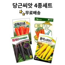 당근씨앗 4종세트 당근종자 자색당근 빨강당근 씨앗 채소씨앗 손가락당근 노랑당근, 1개