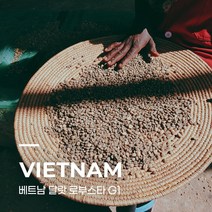 [생두] 베트남 달랏 로부스타 G1 10kg