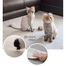 먼지안나는 방수 러그 강아지 고양이 털안붙는 방바닥매트 6종 빨아쓰는 워셔블 러그