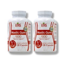 로직뉴트라 매스틱검 1000 다이제스티브 서포트 120캡슐 2개 세트 4개월