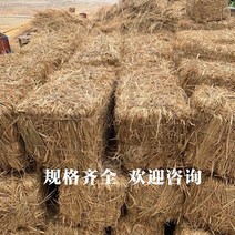볏단 농가 처마 왕겨 볏집 지푸라기 건초 더미 건조 짚 농가 장식 촬영 소품, K.70x40x40[길이너비및높이]