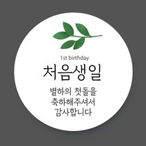 첫돌 답례품 메세지 스티커 문구변경 주문제작, 03.처음생일C, 2세트(24매입)