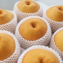 직거래농민장터 나주 신고배 배 당도선별 특품 선물용, 나주배 7.5kg 11-12과 특품