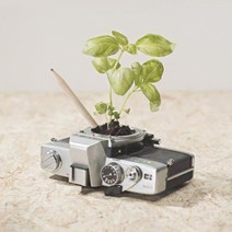 친환경 새싹 씨앗 연필 씨앗심기 8개입, 1개